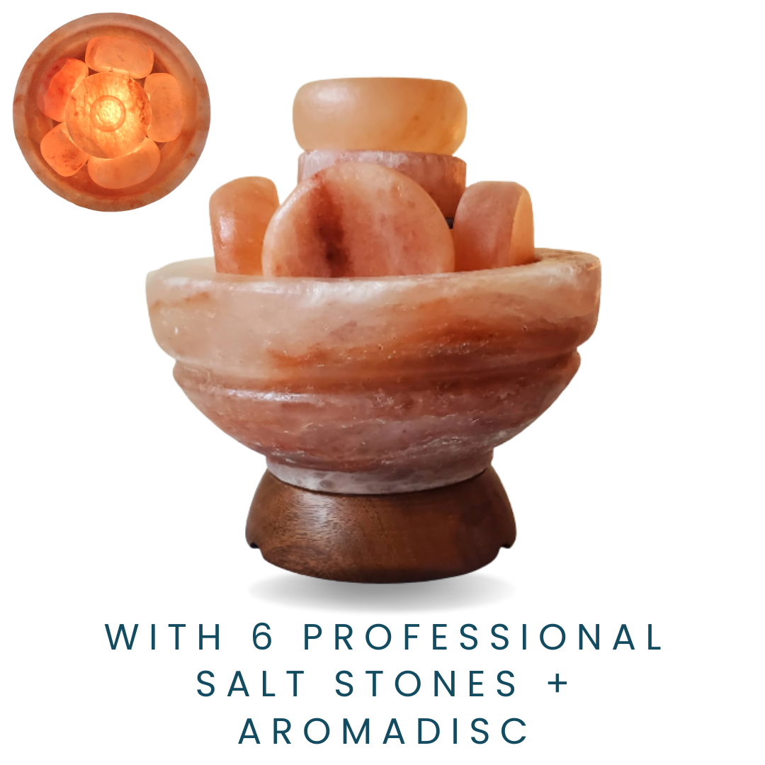Himalayan Pink Salt Bowl with 6 Professional Pink Salt Stones Aromadisc Pro Plus with Waterdrop Session in Progress Sign Pink Salt Bowl 6 Salt