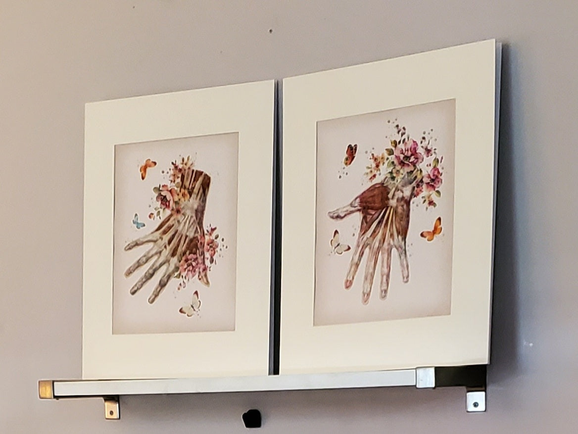 Vintage "Muscles of the Body" Muscular Picture for Massage Therapist Office or Home (Several Choices)