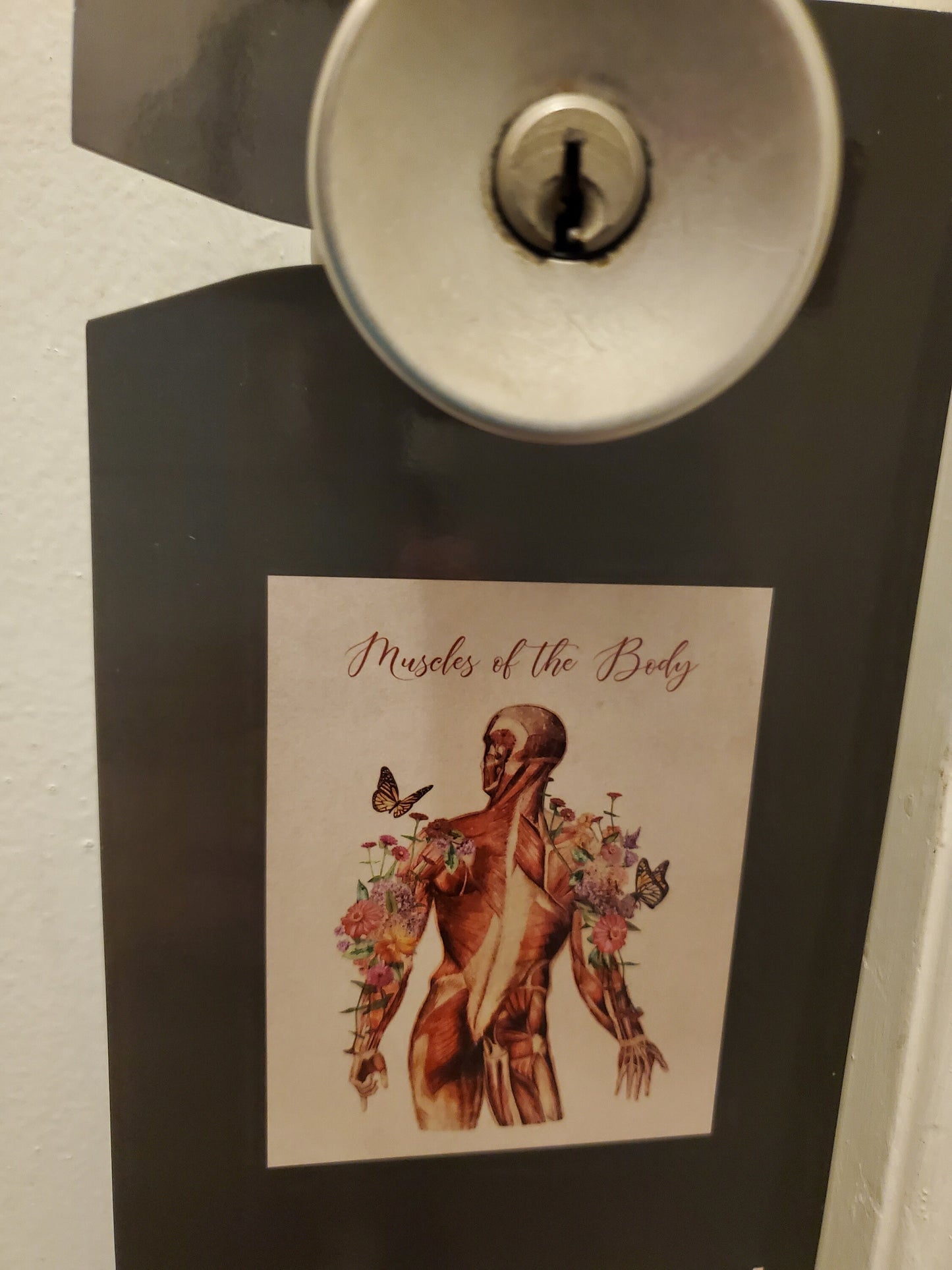 Gift for massage therapist, graduation for massage therapist. Do not disturb door hanger