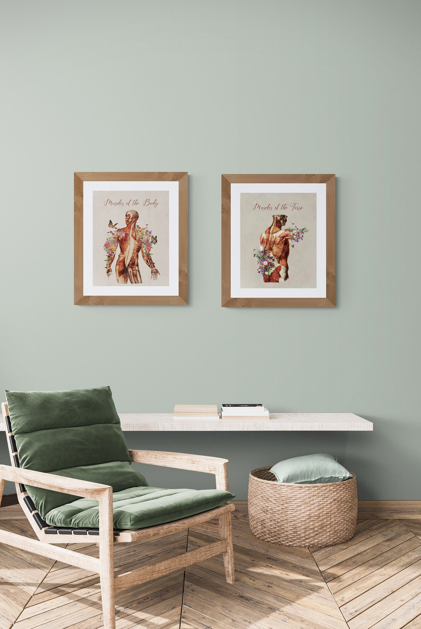 Vintage "Muscles of the Body" Muscular Picture for Massage Therapist Office or Home (Several Choices)