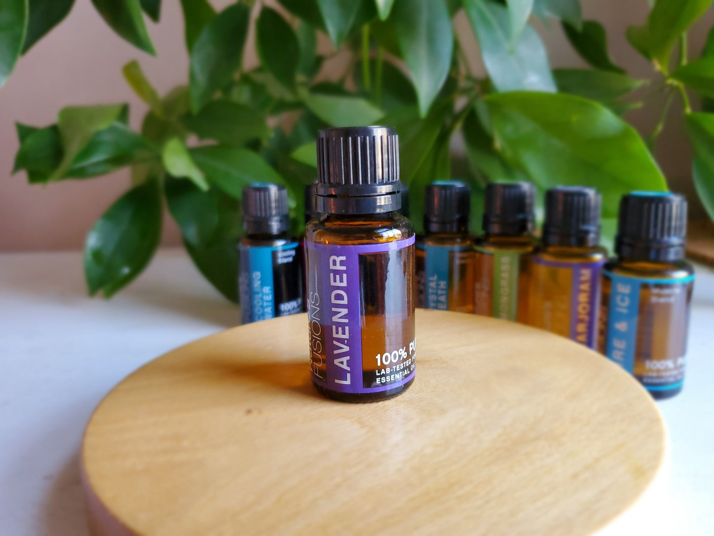 Essential oil of LAVENDAR - 15 ml