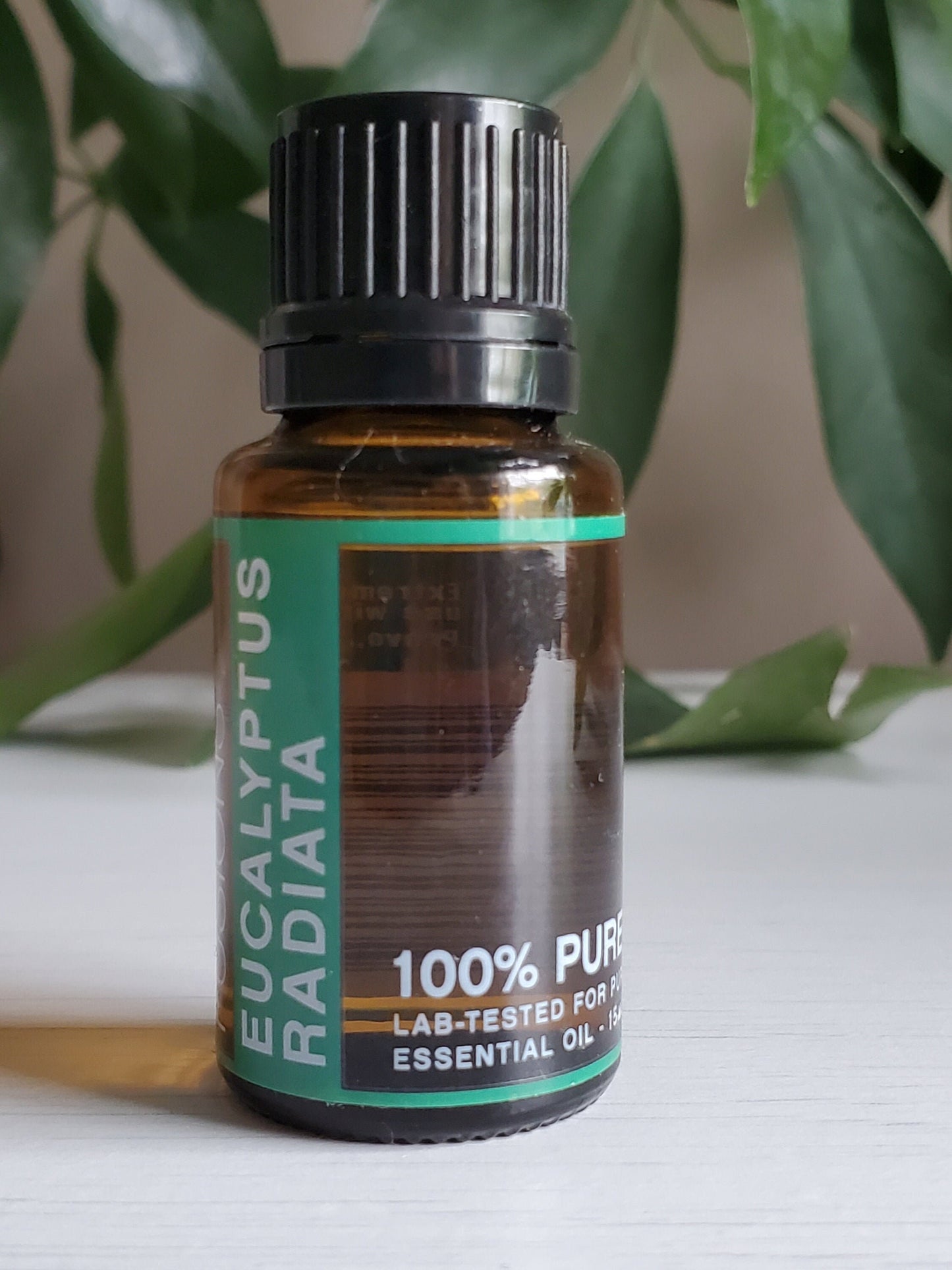 Essential oil of EUCALYPTUS RADIATA - 15ml